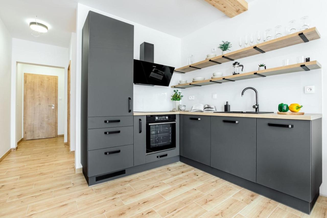 Apartmany Karlovy Dvory ฮอร์นี ปลานา ภายนอก รูปภาพ